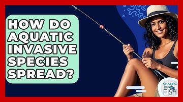 How Do Aquatic Invasive Species Spread? - Chasing Big Fish