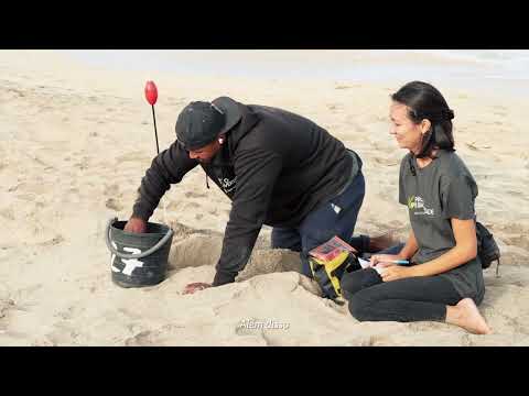 Proudly Committed: dois anos a avançar juntos rumo à sustentabilidade