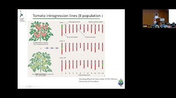 Functional-Phenotyping & Stress Conditions with the PlantArray system by Prof. Menachem Moshelion