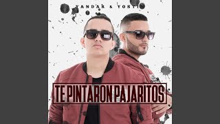 Video thumbnail of "Yandar & Yostin - Te Pintaron Pajaritos"