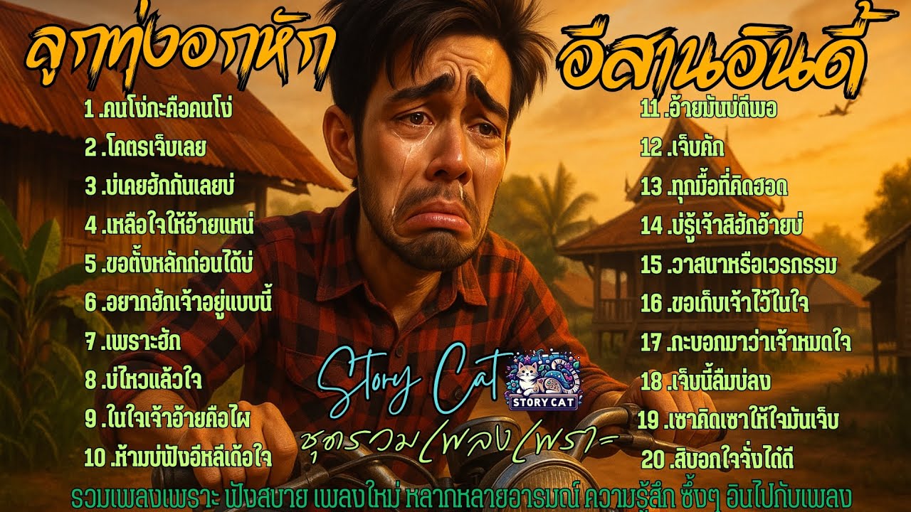 รวมลูกทุ่งอกหัก อีสานอินดี้  เพลงซึ้ง ๆ บอกเล่าอารมณ์คนอกหัก เจ็บอีหลีเด้อใจ  : Story cat