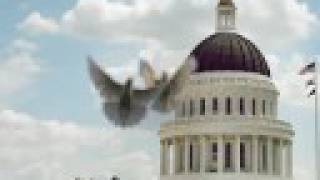 Rats with Wings, Episode 1
