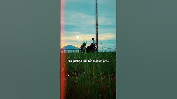 Tôi không cố gắng vẽ nên những gam màu rực rỡ nhất. #phongcanh #phuotbui #tamtrang