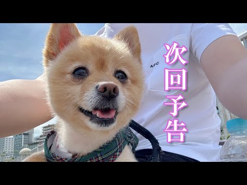 【次回予告】家族旅行に行ってきました！