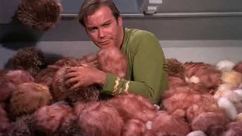 Captain Sisko and Lt. Commander Dax Search For the Tribble-Bomb