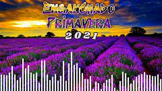 🌹Enganchado Primavera 2021 🦋 [ALAN MAHUAD]