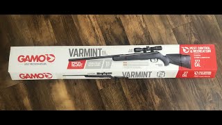 We got a new pellet gun - Gamo Varmint