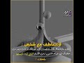 ألمراجل ودها قوة قلوب ألمراجل ودها قوة قلوب