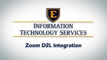 Zoom D2L Integration - Nav Bar and Interface
