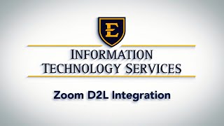Zoom D2L Integration - Nav Bar and Interface