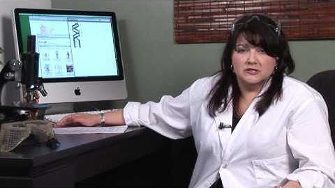 Human Physiology : What Is a Somatic Cell?