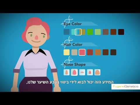 וִידֵאוֹ: מה בודקות אנדוסקופיות?