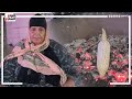 الست عزيزة أجدع بياعة ذرة مشوي استحملت 65 سنة عشان تربى ولادها ولما كبروا مسألوش عليها الست عزيزة أجدع بياعة ذرة مشوي استحملت 65 سنة عشان تربى ولادها ولما كبروا مسألوش عليها