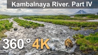 360°, На реке Камбальная. Часть 4. 4К видео с воздуха