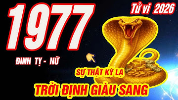Tử Vi tuổi ĐINH TỴ 1977 Nữ mạng năm 2026 CƠ DUYÊN TRỜI ĐỊNH PHÚC LỚN LẮM CỰC GIÀU CÓ- Tử vi 2026