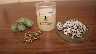 Extract Castor oil from Castor Seeds