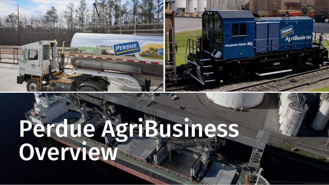 Perdue AgriBusiness Overview YouTube