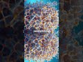 Scientists Twist DNA Into Self-Building Nanostructures