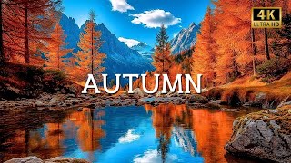 Peaceful Music for Work and Studying🍁 Enchanting Autumn Nature Scenes with Forest Sounds