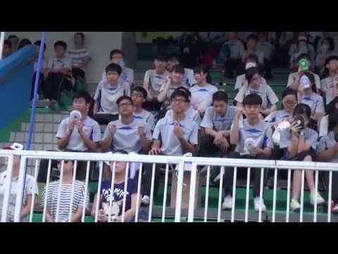 大埔三育中學 2015-2016 水運會 2015-16 TPSY Swimming Gala