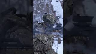 Bears on a winter training