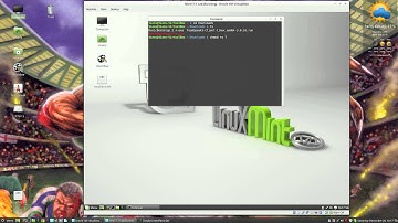 How to install Team Speak on Linux Mint