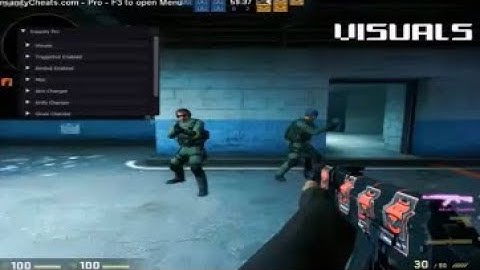 Insanitycheats.com Pro CS:GO Hack Features