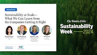 Sustainability at Scale – What We Can Learn From the Companies Getting it Right