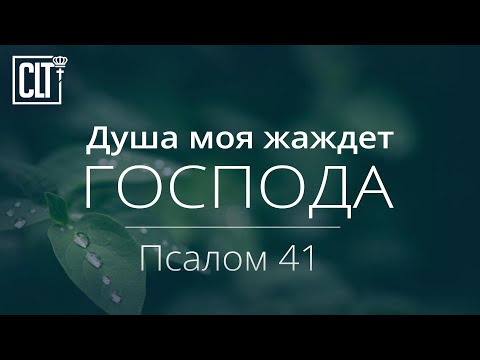 Душа моя жаждет Господа | Псалом 41 | Библия