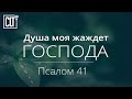 Душа моя жаждет Господа | Псалом 41 | Библия