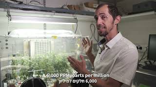 Can trees cope the conditions on Mars?