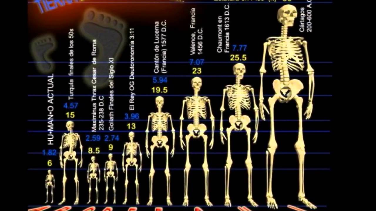 EL GIGANTE DE ECUADOR DE 7 metros - YouTube