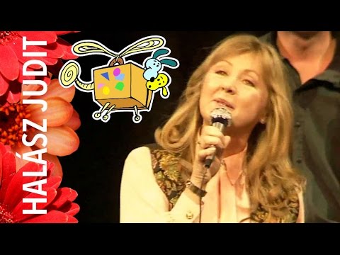 Halász Judit: Helikoffer