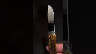 Sod Buster Jr in Amber Bone Peach Seed Jig #CaseKnives #SlipJoint #SodBusterJr