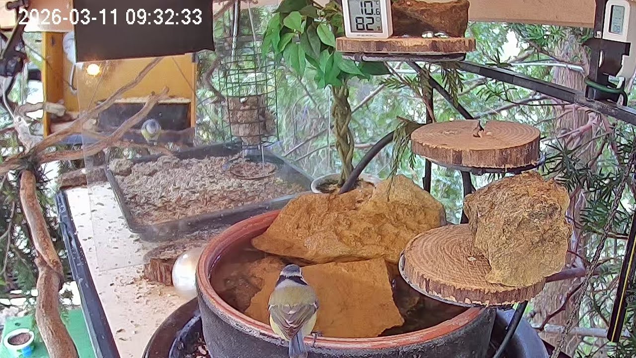 Entspannter Morgen am Vogel-Spa (11.03.2026)