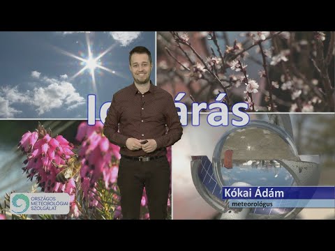 Videó: Hogyan bánik a makacs idős szülőkkel?