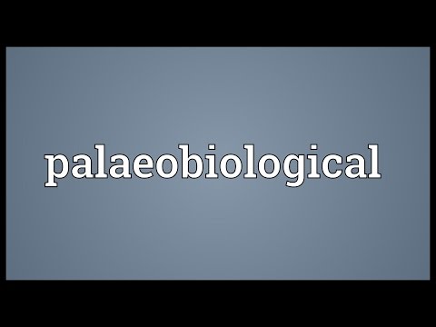 Header of palaeobiological
