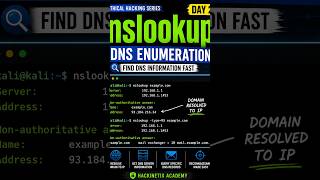 DNS Enumeration in 30 Seconds 🔎 | nslookup Explained | Ethical Hacking