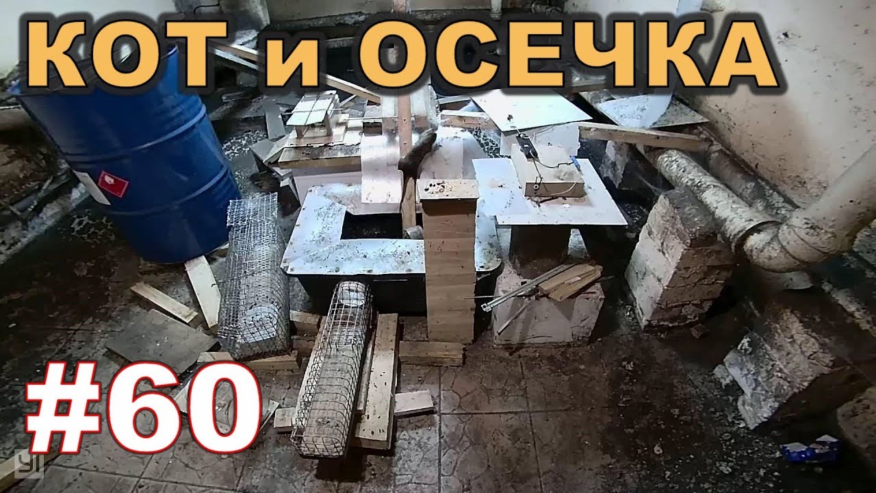 #60. Охота на КРЫС с комплексом “HWRAT-HUNTER“. Кот и осечка - YouTube