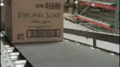 Bastian Material Handling Belt Over Roller Conveyor