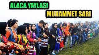 MUHAMMET SARI - Alaca Yaylası Horon ve Kemençe Resimi