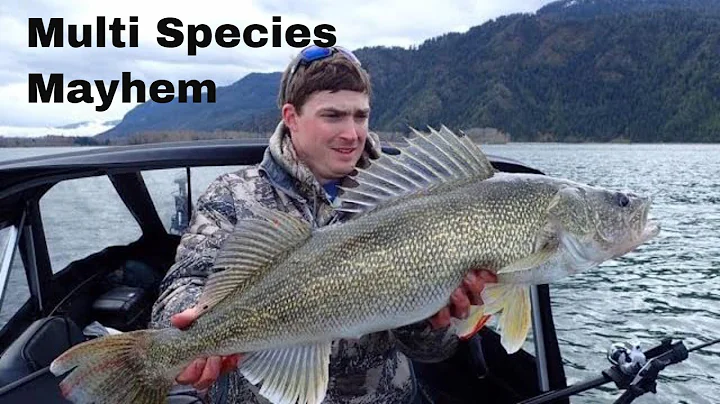 Legally Fishing 10 Rods Solo!!