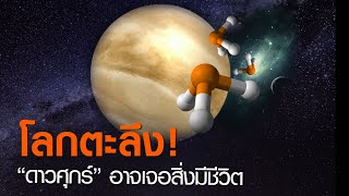 โลกตะลึง!  “ดาวศุกร์” อาจเจอสิ่งมีชีวิต | TNN ข่าวค่ำ | 15 ก.ย. 63