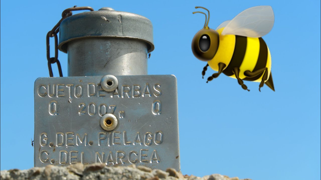 Subida a Cueto de Arbás (Techo de Cangas del Narcea) | Techos de Asturias 🐝🐂⛰🥾