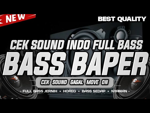 DJ CEKSOUND FULL BASS HOREG FULL ALBUM TERBARU 2024 BIKIN BAPER class=