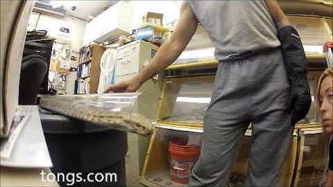 Breathing Life Into A Venomous Snake.