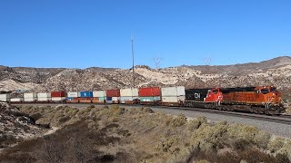 BNSF and UP Trains Along Cajon Pass! ~ Feat. Warbonnets, CN, Horn Shows, and MORE!