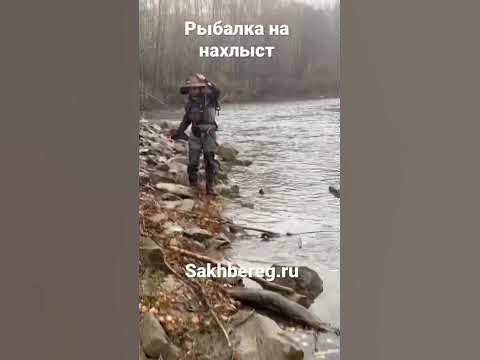 Голец на нахлыст#сахалин #туризм #рыбалка #нахлыст - YouTube