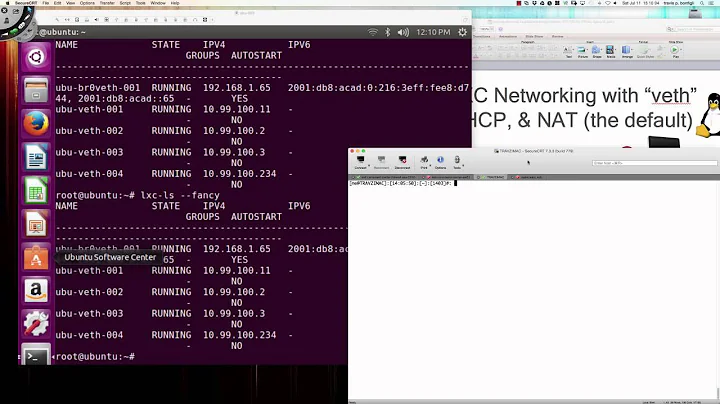 Linux Containers (LXC) Networking Deep Dive - Video 003a - LXC veth Adapters w/Bridge Int. (br0)