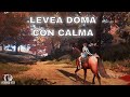 Levea doma con asnos alternativa chill a la doma  bdo